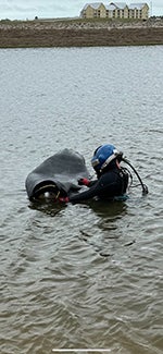 "Diver ready to take Cherne plug underwater"